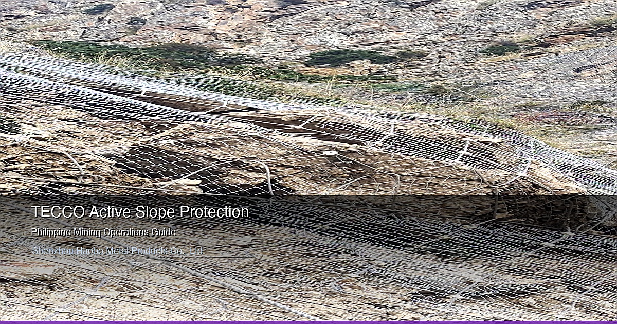 TECCO Active Slope Protection System for Philippine Mining Operations: MGB Compliance and Surigao-Benguet Case Studies 2026