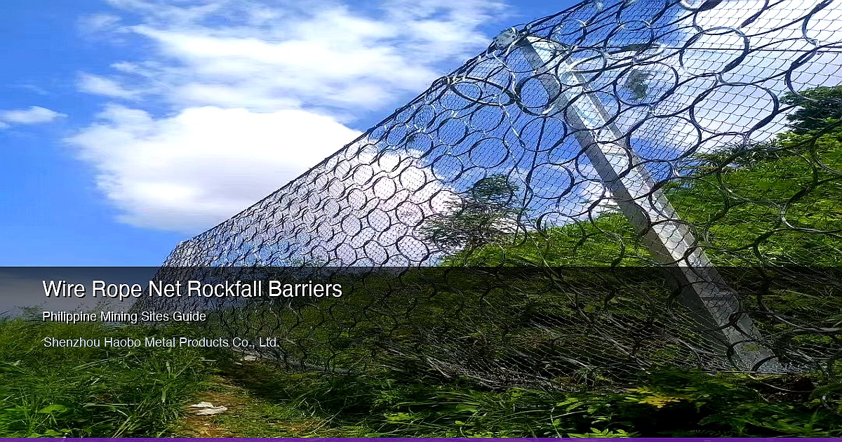 Wire Rope Net Rockfall Barrier Systems f