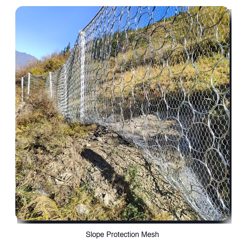 Slope Protection Mesh