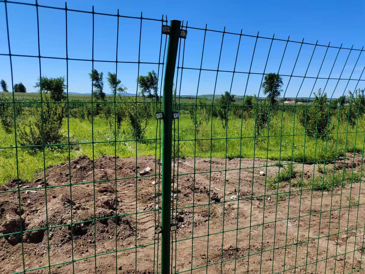 Galvanized Fence with Posts