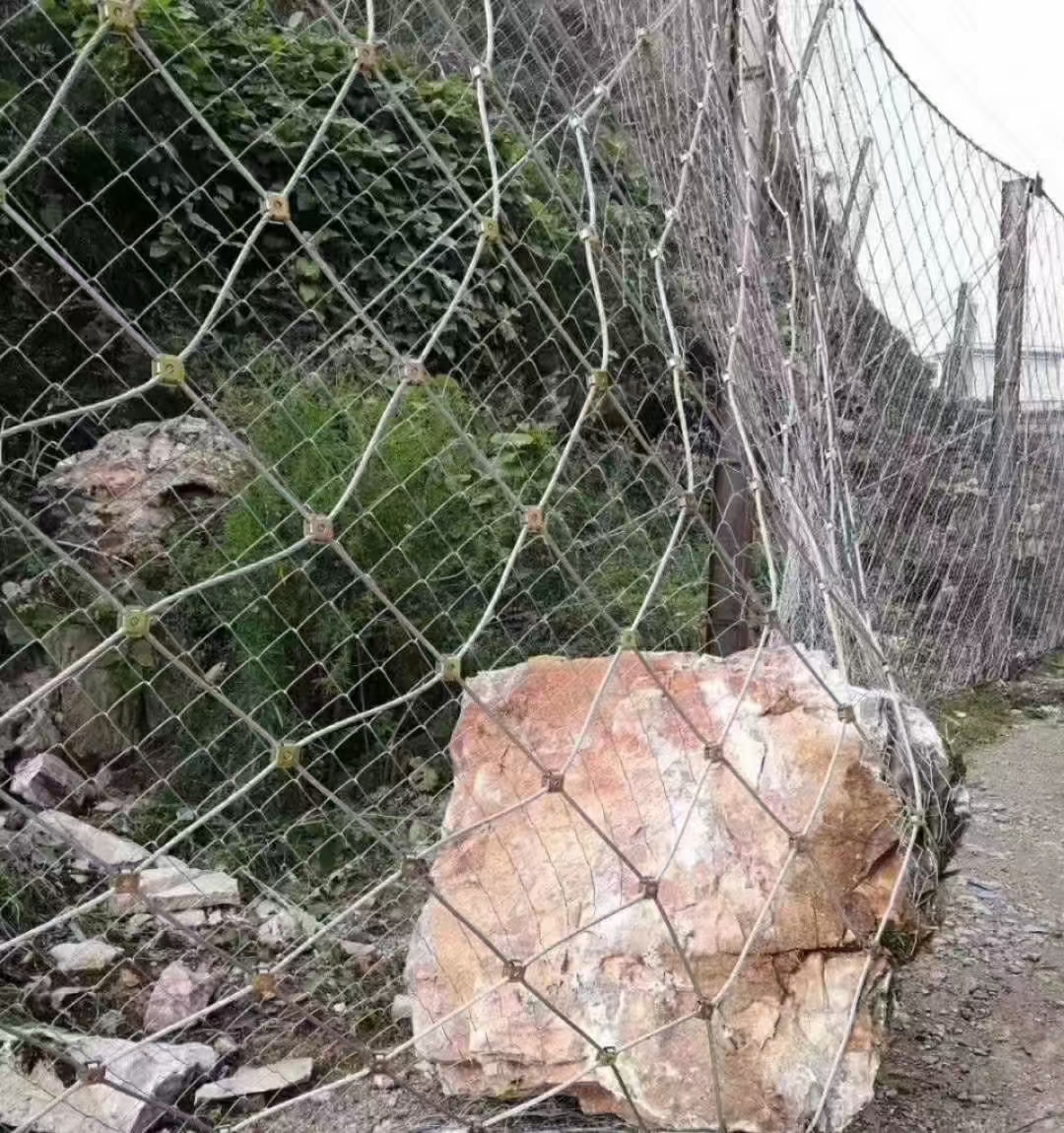 Diamond Passive Protection Net