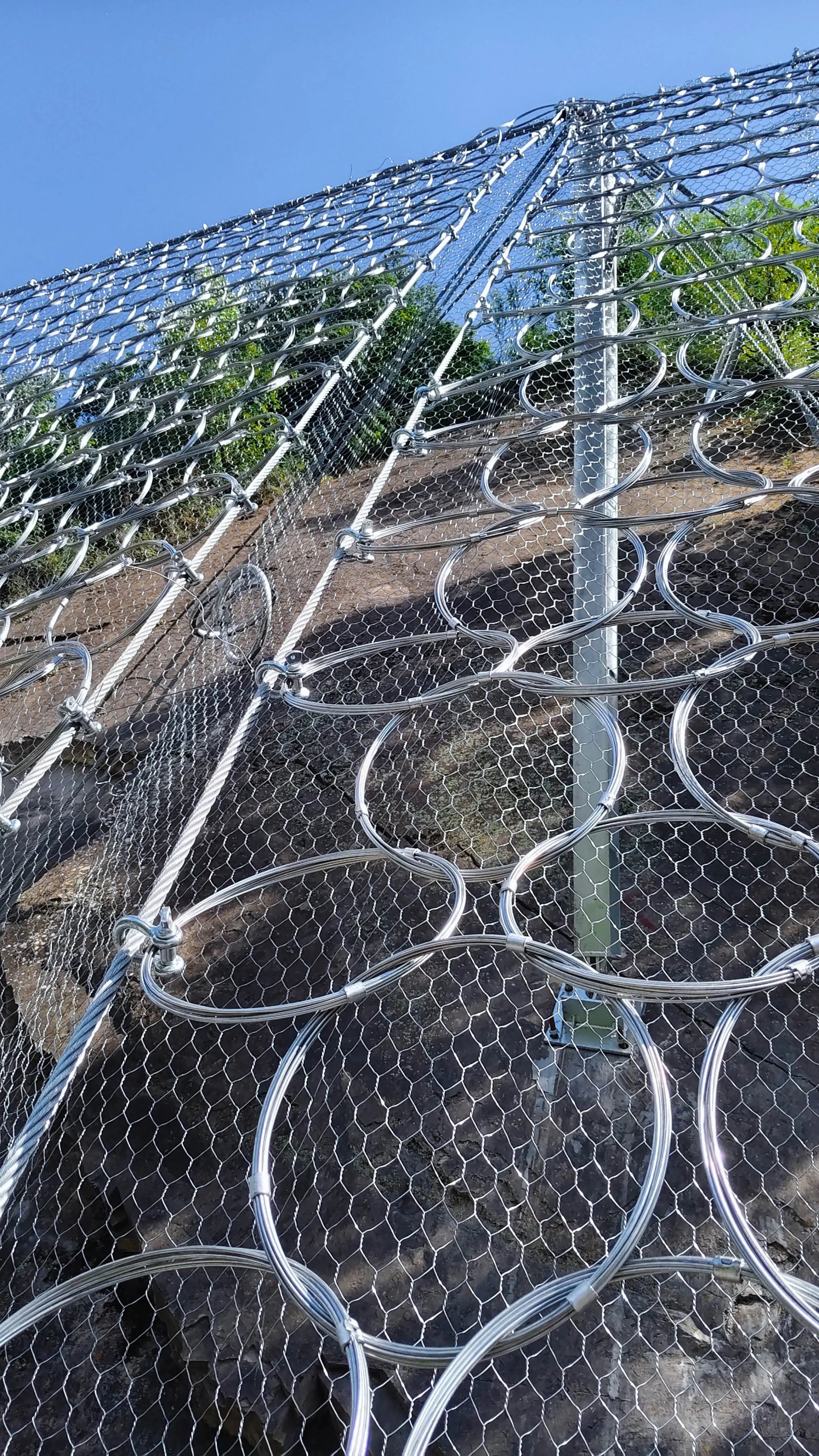 Ring-Type Passive Protection Net